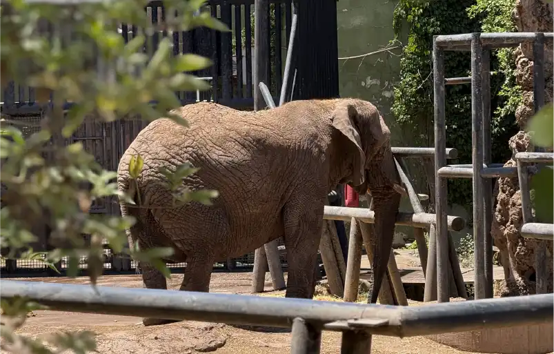 Zoológico Nacional del Parque Metropolitano de Santiago
