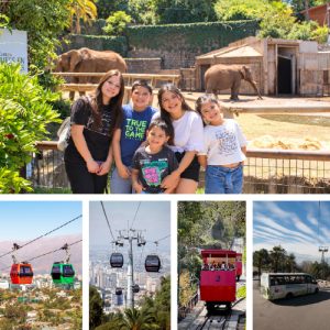 Vive el Parque + Cupo Zoo